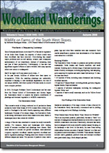 Woodland Wanderings