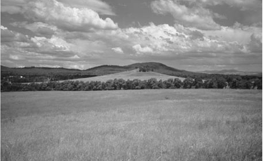 Crace Grassland Reserve, Canberra ACT