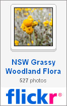 NSW Grass Ecosystems flickr